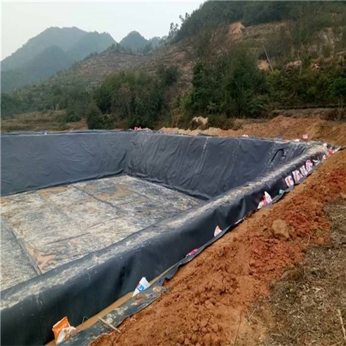 您了解魚塘防滲膜施工方法有哪些嗎？