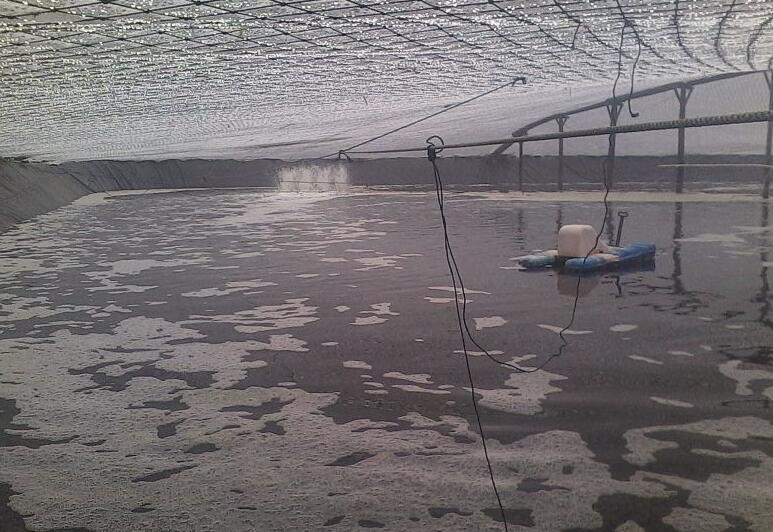 魚(yú)塘修建土工膜和混凝土哪種方法更可靠？